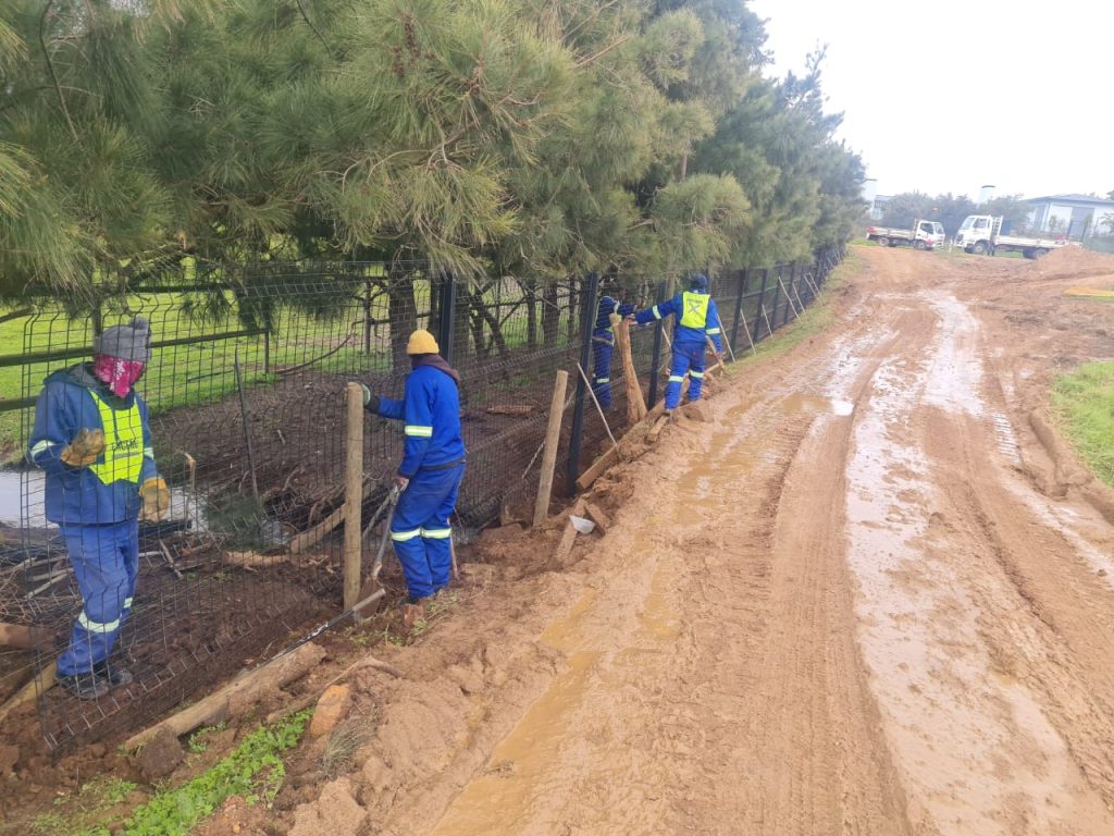 whatsapp image 2026 04 24 at 15.00.48 (1)